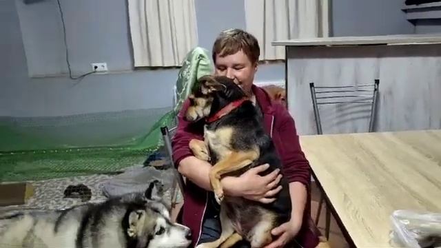 наши собаки нуждаются в помощи. наша главная задача пробурить скважину