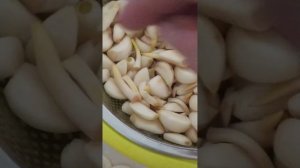 Весенняя переработка чеснока прошлогоднего.