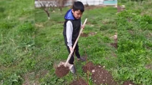 Менин отбасым