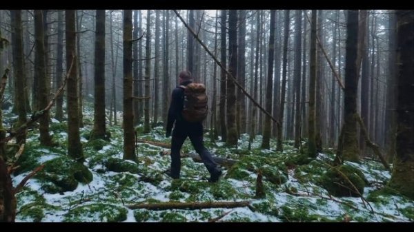 $42 Makes All The Difference - Mardingtop Tactical 28L Backpack - Review