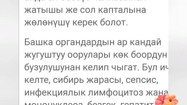 Кок боор ооруса эмне кылуу керек смотреть онлайн