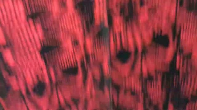 платье  Novella Sharm (Альгранда), номер модели: 3130 -3