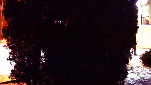 ПУХОВИК С ОЧКАМИ НА КАПЮШОНЕ ВЫХОДИТ ИЗ ДЕРЕВА 🙀👻❄🌲🌲🌲 СИМВОЛИЗМ ВЕЧНОГО ПРИЗЫВА К ВЫХОДУ НА СВЕТ смотреть онлайн