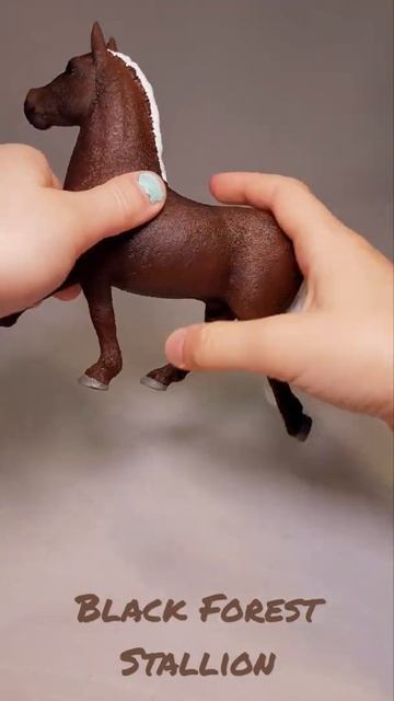Schleich Black Forest Stallion horse toy #shorts смотреть онлайн