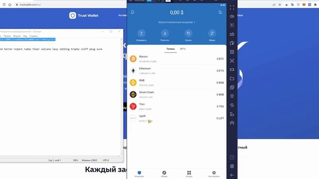 Trust Wallet установка, настройка, использование смотреть онлайн