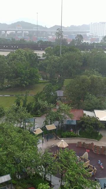 Saola Typhoon Signal T9 in hong kong #LaiChiKok #Park смотреть онлайн