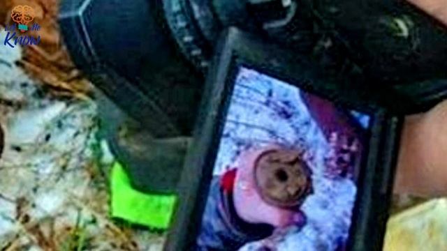 These Guys Unearthed A Cache Of Nazi Containers – With Sinister Saboteurs’ Devices Sealed Inside