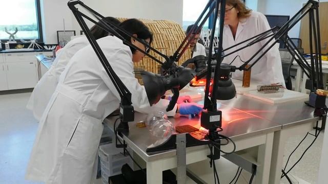 Engineering smart building skins for cleaner, greener architecture смотреть онлайн