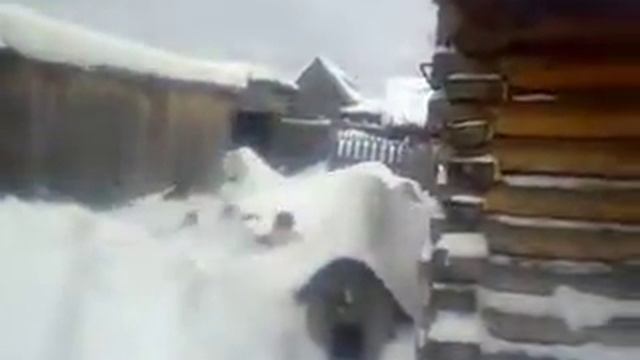 МОРЖ ЧАСТЬ 1 смотреть онлайн