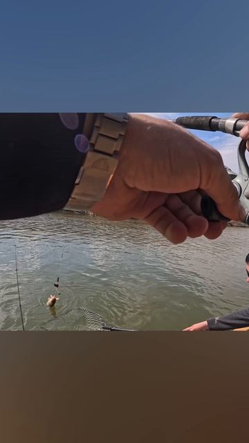 Рыбалка в Астрахани. 12-15.04.25