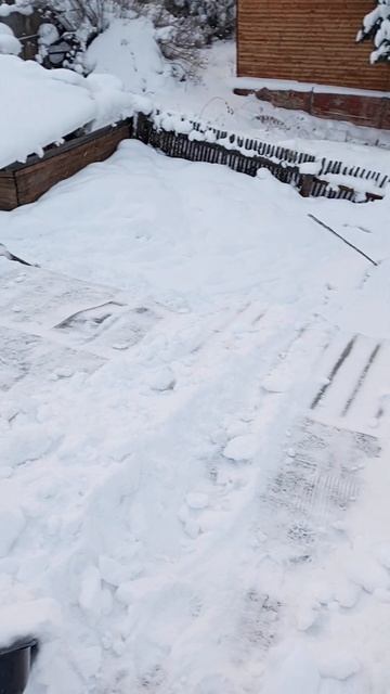 ПОНЕДЕЛЬНИК; | ⟨06.02.2023⟩ | 17:05 смотреть онлайн