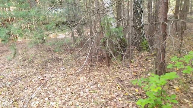 Ehemaliger GSSD Güterbahnhof Eberswalde смотреть онлайн