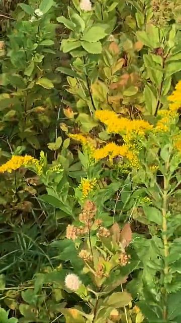 RB0917_16 смотреть онлайн