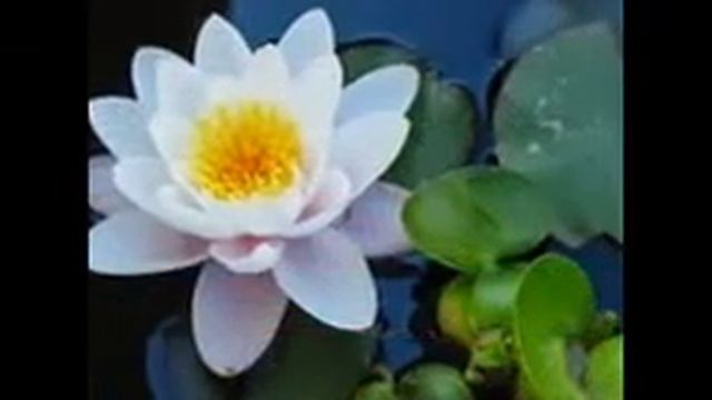 Отличных выходных!