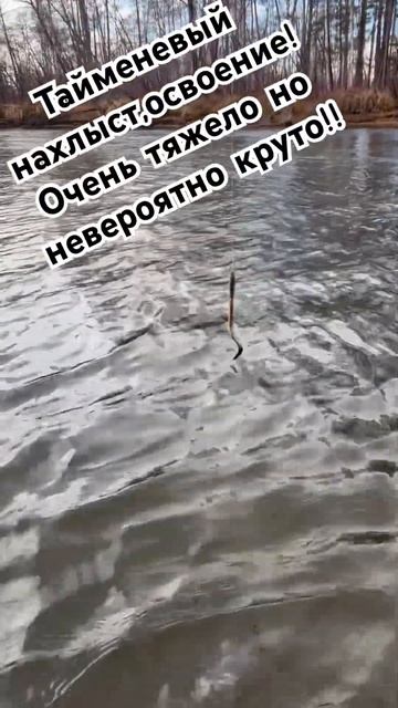 Это новый мир,новые эмоции!@SherbovichPonoi благодарю за наставничество! #тугур смотреть онлайн