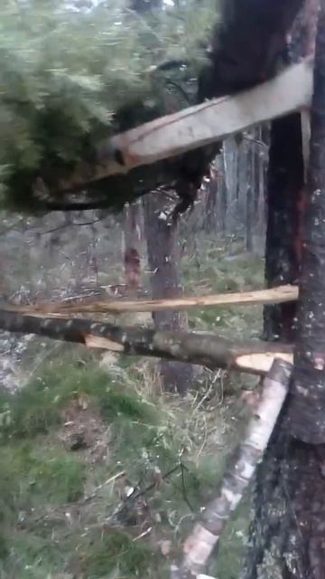 Кулёмка на куницу смотреть онлайн