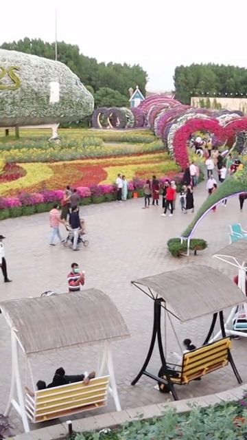 DUBAI MIRACLE GARDEN 2020 | WORLD'S LARGEST FLORAL STRUCTURE #SHORT смотреть онлайн