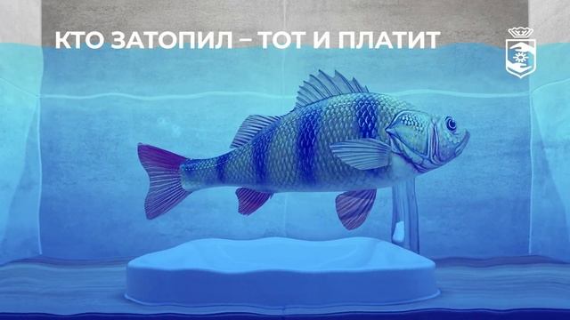 Ролик Югория_вода #Shorts смотреть онлайн