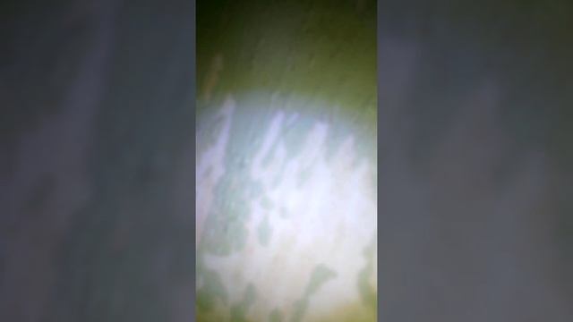 Прятки смотреть онлайн