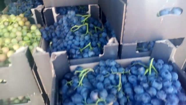 2.ціни на ринку Великі Копані. 5 серпня. Закуп є. смотреть онлайн
