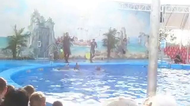 Бердянский дельфинарий песни дельфинов