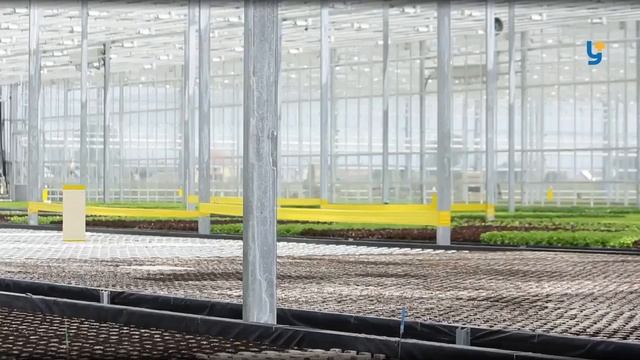 Україна+. Як вирощують овочі? смотреть онлайн