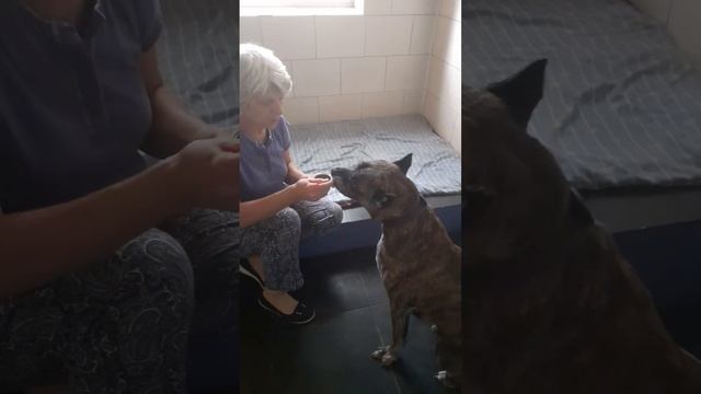 КИЗИЛ смотреть онлайн