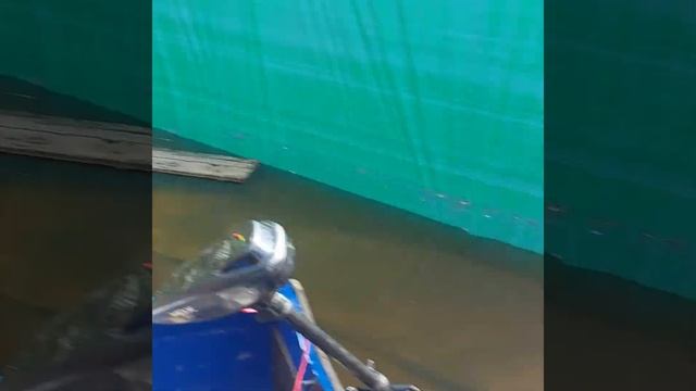 Остров затопило,швартуюсь прямо к домику!