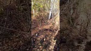 самовытаскиватель УАЗ