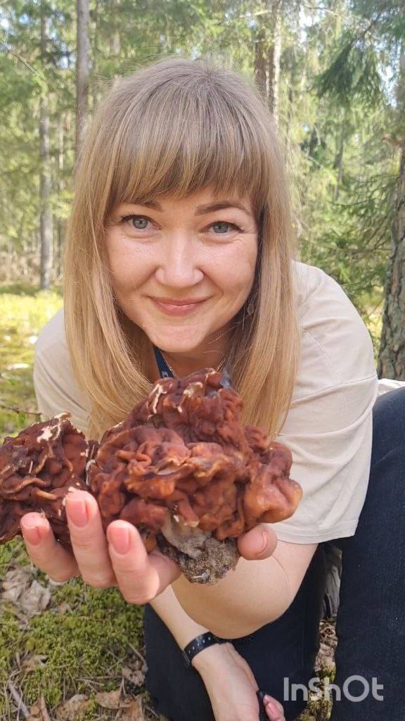 грибы в лесу, СТРОЧОК ГИГАНТСКИЙ 🔥 ( Gyromitra gigas) ОСТОРОЖНО ‼️‼️‼️ смотреть онлайн