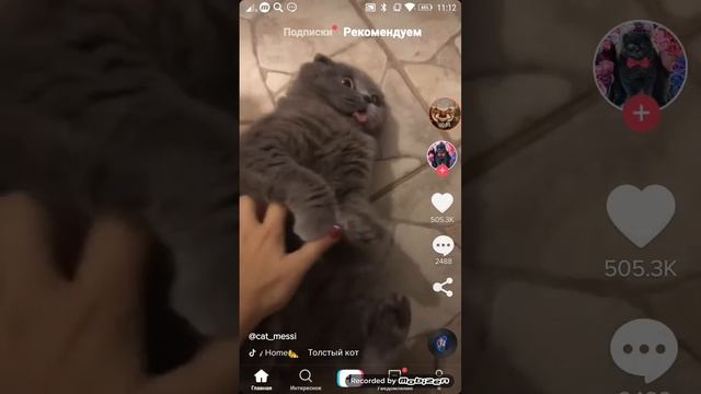 Подбор из самых смешных приколов смотреть онлайн