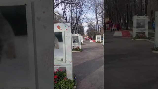 Возьми животного из приюта 😼 смотреть онлайн