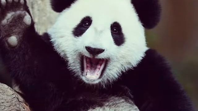 Мои собшество захадите там другие МАИ песни смотреть онлайн