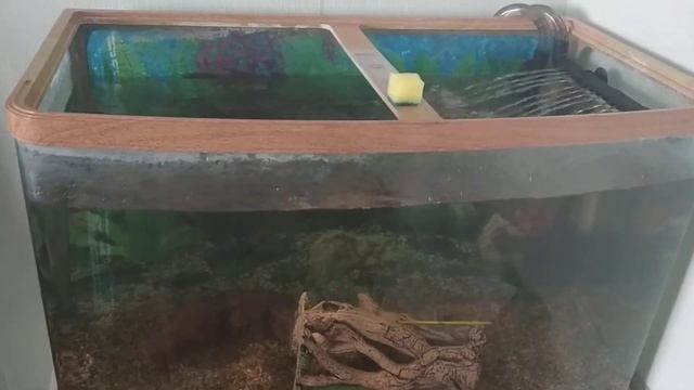 Установил новый фильтр AQUAEL Ultramax 1000 смотреть онлайн