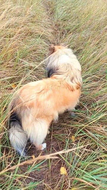 15 октября 2022 г. смотреть онлайн