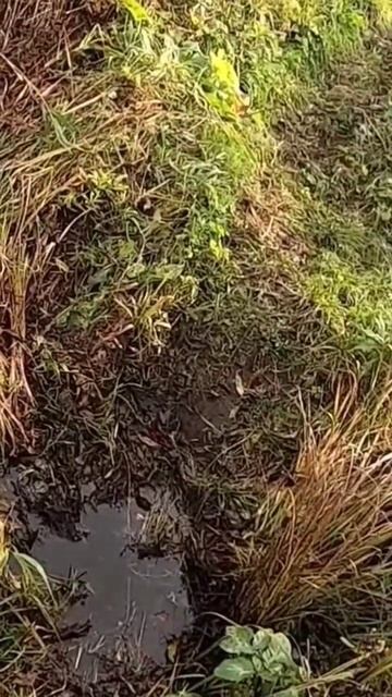 Это было страшно! Нива ТРЕВЕЛ на грани ПЕРЕВОРОТА, а внизу РЕКА! смотреть онлайн