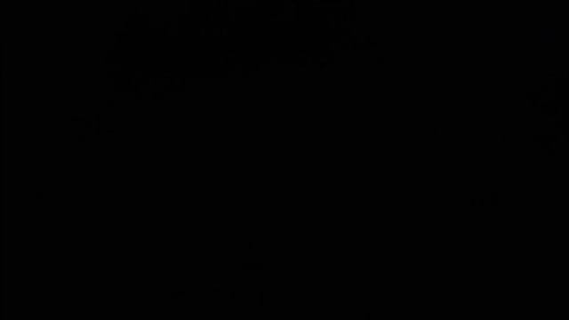 Beastars AMV Courtesy Call