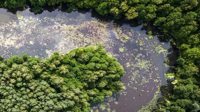 Po Spotkaniu Z Mężem, Jego Kochanką I Teściową W Kancelarii Notarialnej, Wyjęła Dokument Z Torebki. смотреть онлайн
