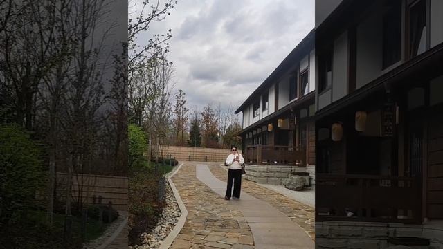 Кафе в японском саду с цветущей сакурой. смотреть онлайн