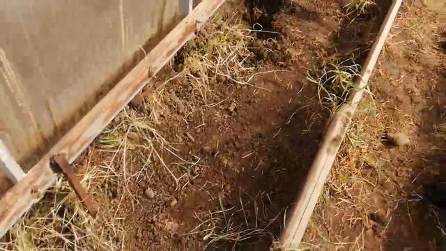 Дачные сводки. 17 апреля 2021 смотреть онлайн