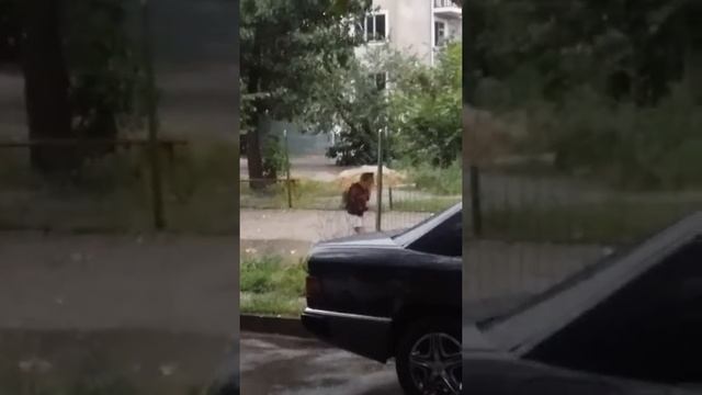 Прогулка под дождем смотреть онлайн