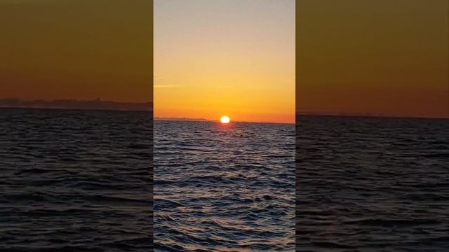 Сочи Пляжный сезон 29 мая 2024 год #море #сочи #мойсочи #сочисегодня #Сочи #любовь #love