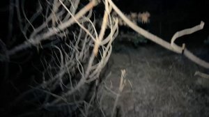 НОЧУЮ НА ОЗЕРЕ, СТАВЛЮ ПАЛАТКУ, ГОТОВЛЮ ЕДУ, ДУШЕВНЫЕ РАЗГОВОРЫ О ЖИЗНИ