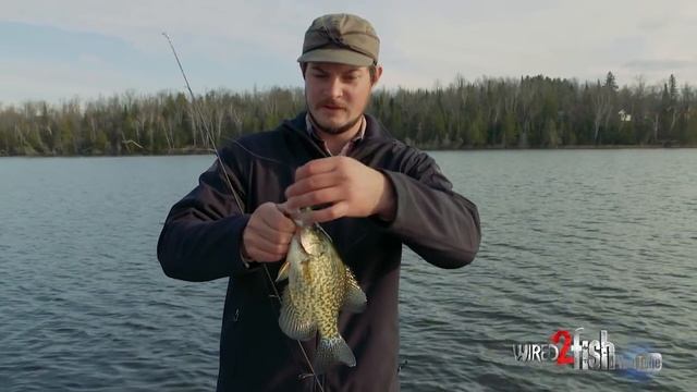 How To Find And Catch Fall Crappie Using Micro Jigs And Plastics