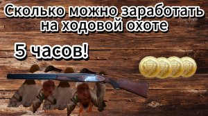 BULT. Сколько можно заработать на ходовой охоте за 5 часов?