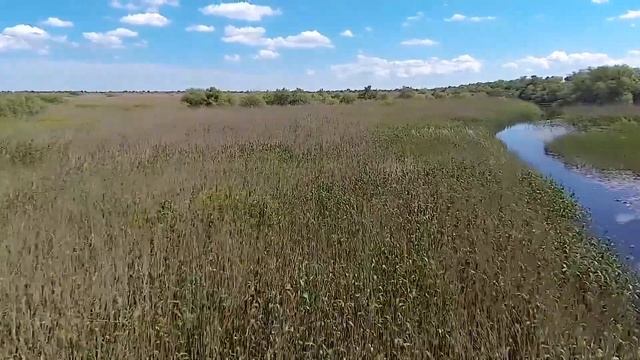 Delta Dunarii 2020 Si Pensiunea Gigant Fish