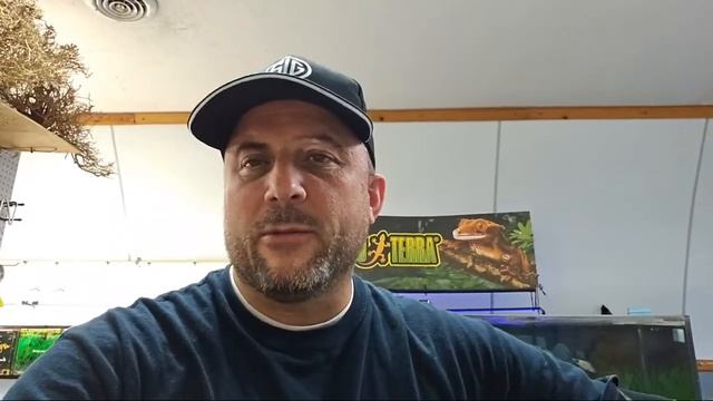 Somethingfishyinc.net is live! смотреть онлайн