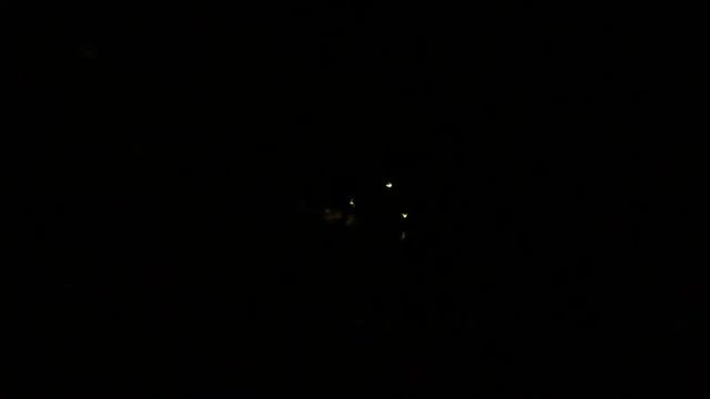 Shark Skwal 1 LED in Darkness смотреть онлайн