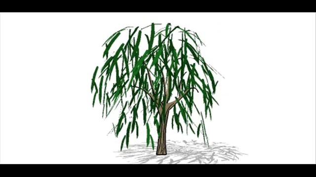 Sketchup komponen pohon gratis download untuk rumah minimalis смотреть онлайн
