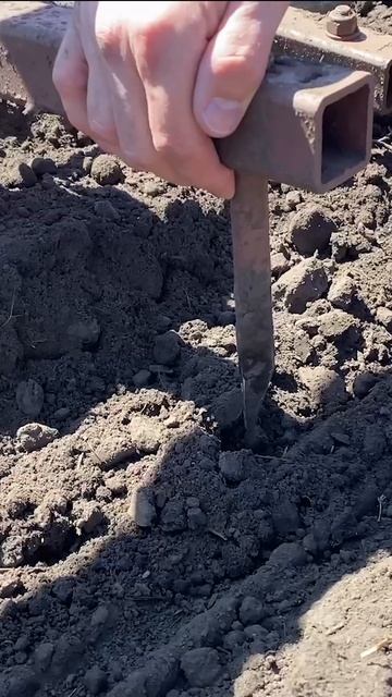 Борона зубовая СТЕЛЛАР работает в поле смотреть онлайн